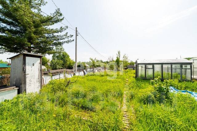 лесной прибрежный генплан. дом в дружино омской. новая сосновка казань на карте. сосновское муниципальное образование усольского района. коттеджи в дружино омской области.