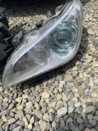 Nissan Fuga ����