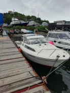 Yamaha Fish 24. 2017 ���, ����� 7,2��., ��������� ���������, 250��.�., ������ ����
