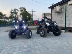 ������ ������������. ����