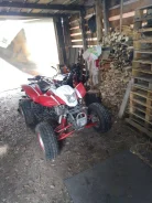 Irbis ATV250S. ��������, ���� ���\���, � �������� ����