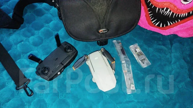 DJI Mini SE. � ������� ����