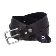 ����� �������. ����