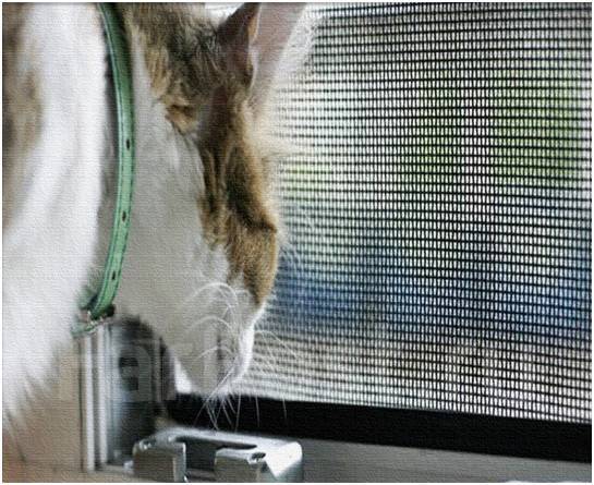 Установка москитных сеток на окна в Хабаровске