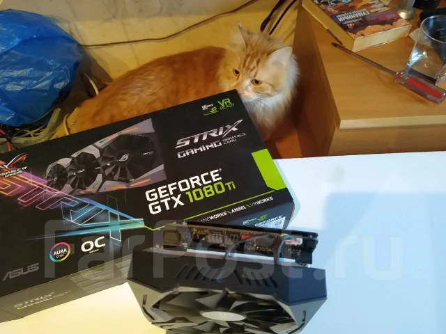 GeForce GTX 1080 Ti ����