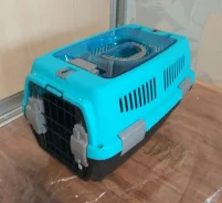 ���������. ����