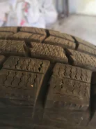 Dunlop Performa. ������, ��� �����, 2018 ���, �/�, ����� 5 % ����