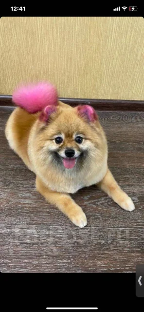 ����. ����