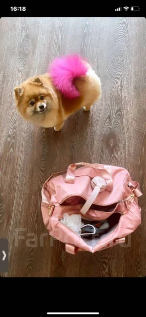 ����. ����