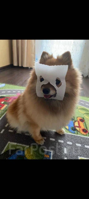 ����. ����
