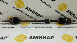 ������ Nissan Almera Classic, ������ �������� 3910095F0C ����