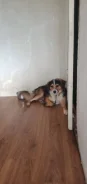 ������. ����