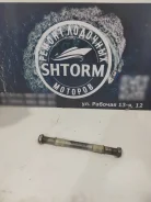 ������ ���������. ����