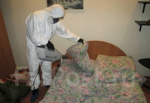 Уничтожение травля потравить насекомых, тараканов, клопов, блох, крыс ...