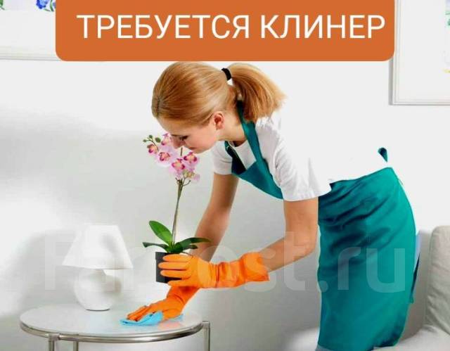 Уборщик, домработница, горничная, клинер, мастер химчистки мебели ...