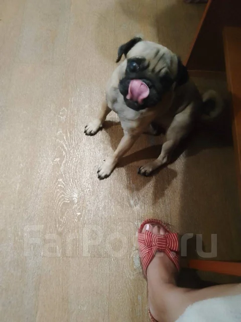 ����. ����