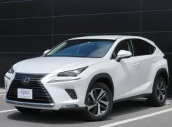 Lexus NX300. �������, ��������, 2.0, ������, 18 000����. ��, �/�. ��� ����� �� ������������ ����