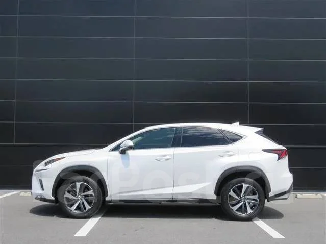 Lexus NX300. �������, ��������, 2.0, ������, 18 000����. ��, �/�. ��� ����� �� ������������ ����