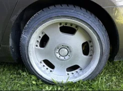 Lumarai. x18" ����