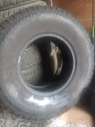Presa. ������, 2020 ���, �/�, ����� 5 % ����