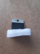 ����������. ����