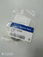    Hyundai Accent Hyundai Accent Chevrolet Daewoo 2142122020 