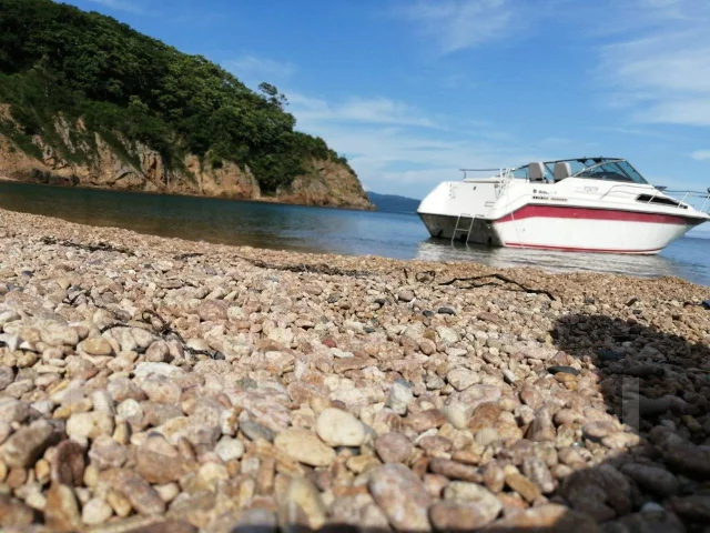 Searay. 1991 ���, ����� 8,5��., ��������� ������������, 330��.�., ������ ����