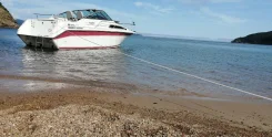 Searay. 1991 ���, ����� 8,5��., ��������� ������������, 330��.�., ������ ����
