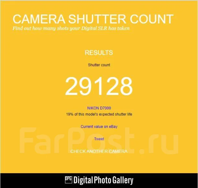 Nikon D7000. 15 - 19.9 ��, ���: ��� ���� ����