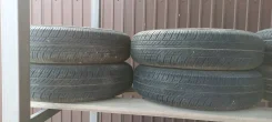Dunlop SP 10. ������, 2013 ���, �/�, ����� �� 5�% ����