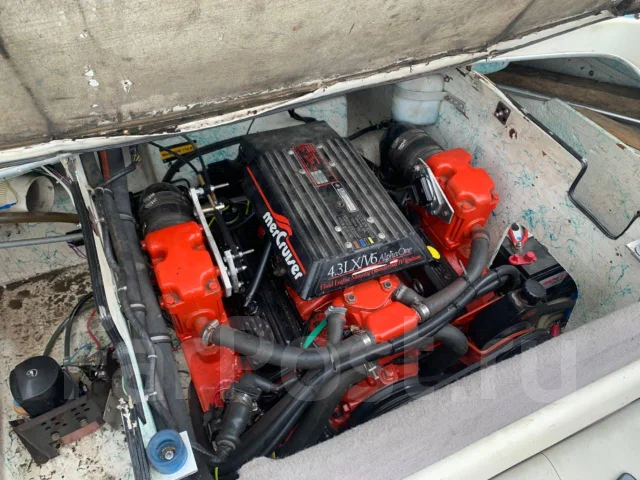 Bayliner. 1993 ���, ����� 5,5��., ��������� ������������, 175��.�., ������ ����