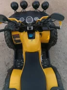 Tiger. ��������, ��� ���\���, ��� ������� ����