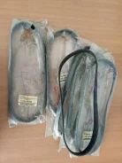������ ������������ Nissan Almera Tino 117209F605 ����