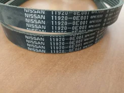 ������ ������������ Nissan Almera 119200E001 ����