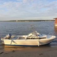 Yamaha Fish 22. 2006 ���, ����� 6,3��., ��������� ���������, 95��.�., ������ ����