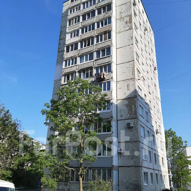 Пацаева пенза нива