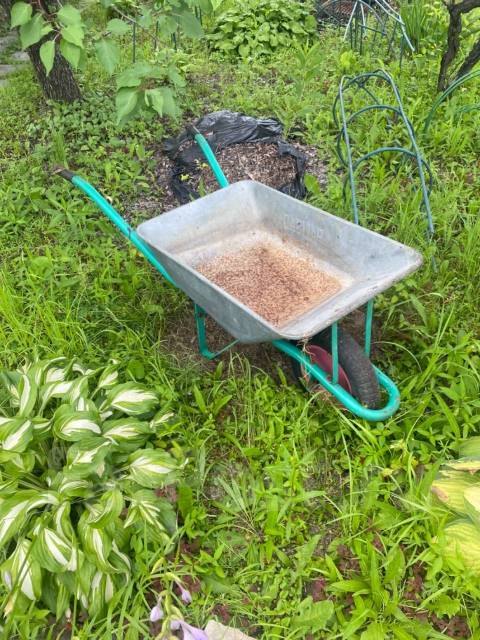 Продам тачку садовую, б/у, в наличии. Цена: 2 000₽ в Хабаровске