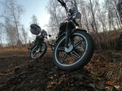 Racer Trophy RC110N. 110����. ��., ��������, ���, � �������� ����