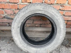 Nordman 5. ������, ��� �����, �/�, ����� 50 % ����