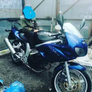 Suzuki SV 650S. 650����. ��., ��������, ���������, ������ �� �� ����