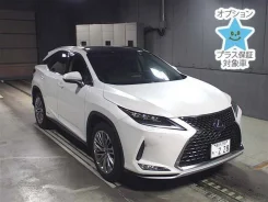 Lexus RX450h. ��������, 4wd, 3.5 (262��.�.), ������, 36 000����. ��, �/�. ��� ����� �� ������������ ����
