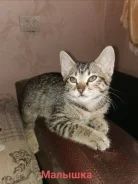 �����. ����