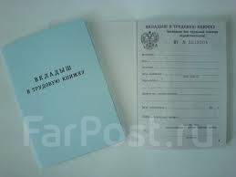Трудовая книжка вкладыш /250/