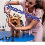 .   . . .  205 