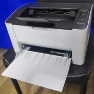 ��������. ����
