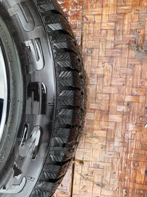 Presa PI02. ������, ��� �����, 2019 ���, �/�, ����� 10 %. ��� ����� �� ������ ����