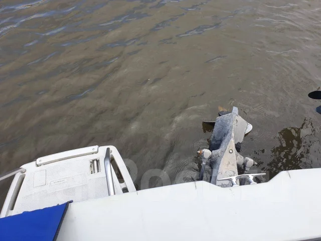 Bayliner. 1989 ���, ��������� ������������, 130��.�., ������ ����