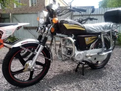 Regulmoto Alpha RM-1. 110����. ��., ��������, ��� ���, ��� ������� ����