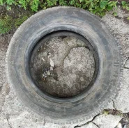 Pirelli P2000. ������, �/�, ����� 30 %. �������� ������ ����