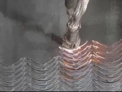 ������ ����